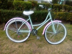 490950261 2671350643060325 406153566794335556 n 344306682431411