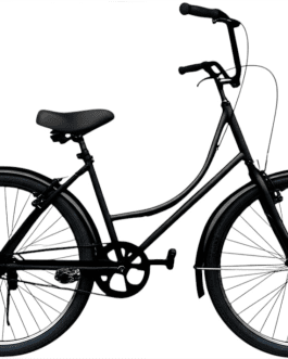 Bicicleta Base