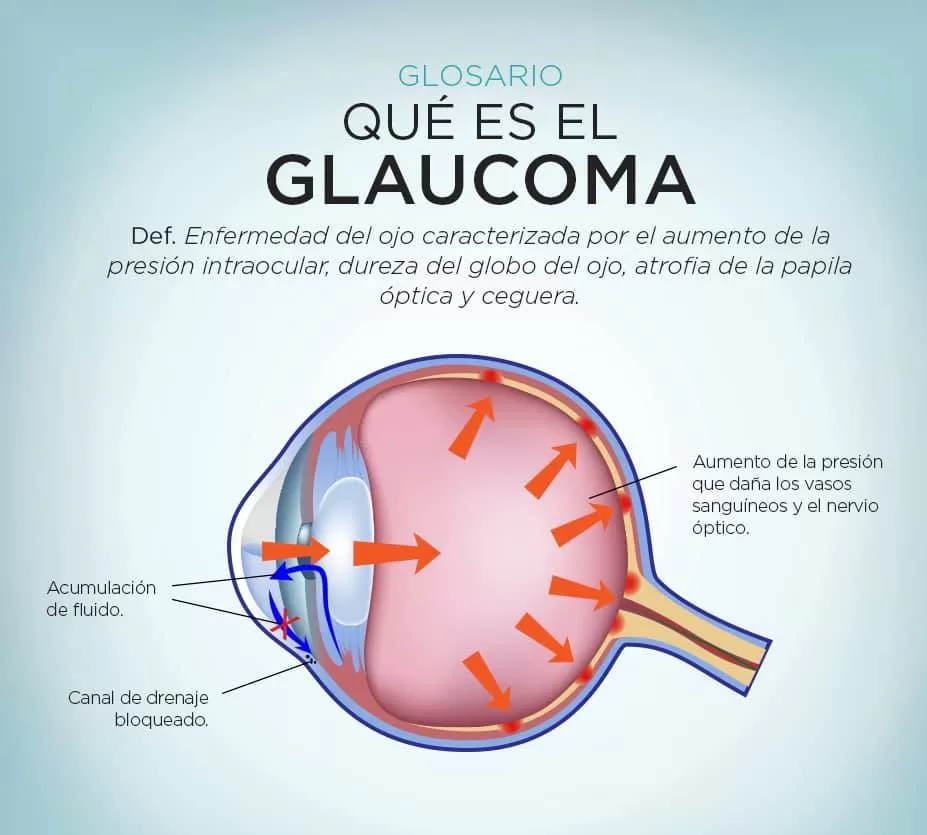 106574919_713795262804648_5346804468343451432_n