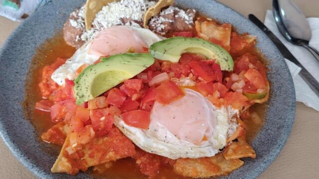 562881247_1999492977519733_3242960697009434903_n