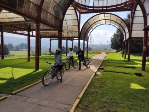 fb img 1760209776603966580326239556667