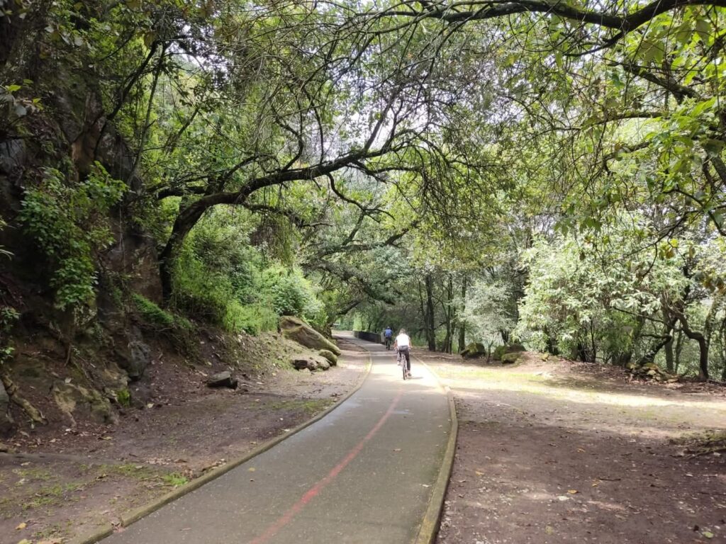 fb img 17602097817761447553131501159249