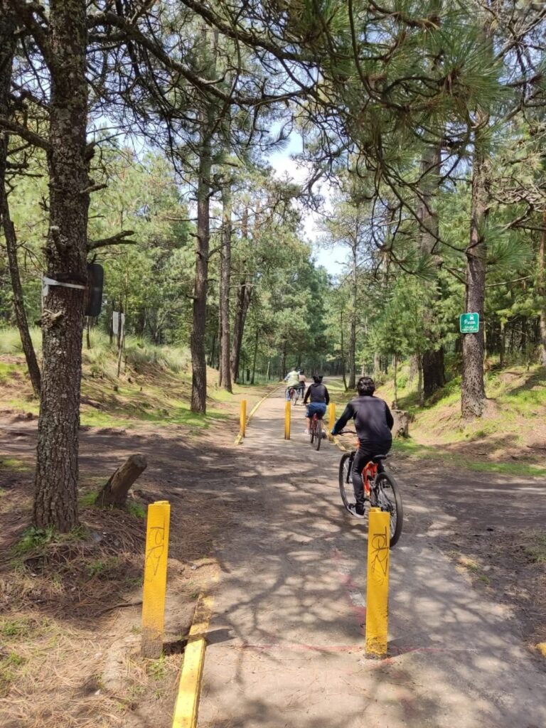 fb img 1760209783840734759813033778234