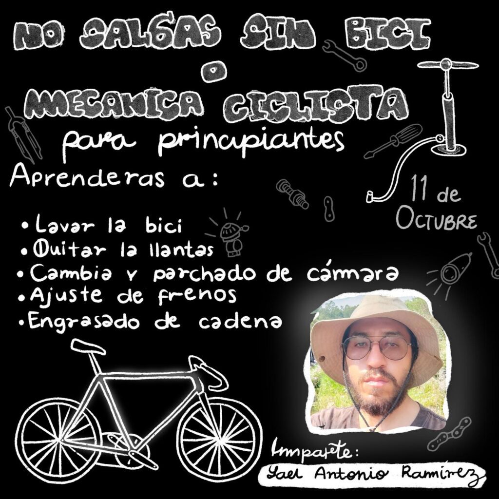 inbound5197119817857430084