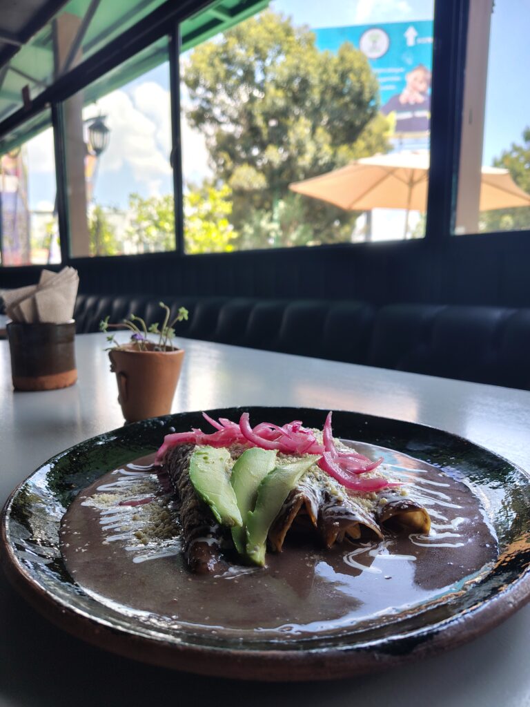 inbound8104408190845242242