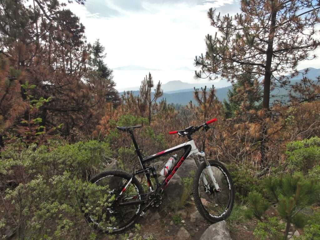 11464062master6778297850378637991