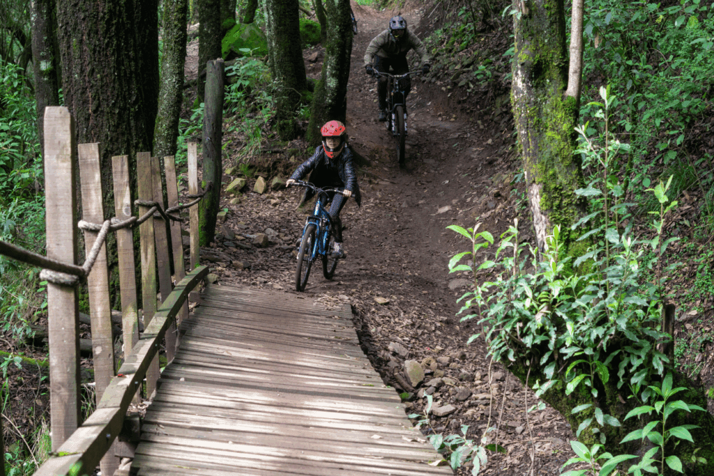 bike trip desierto de los leones 82895908076056253989