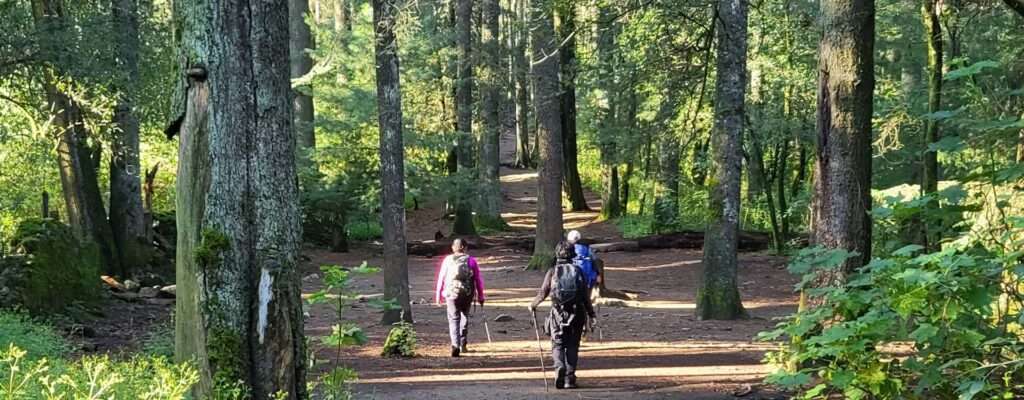 desierto leones 79020049851903699722