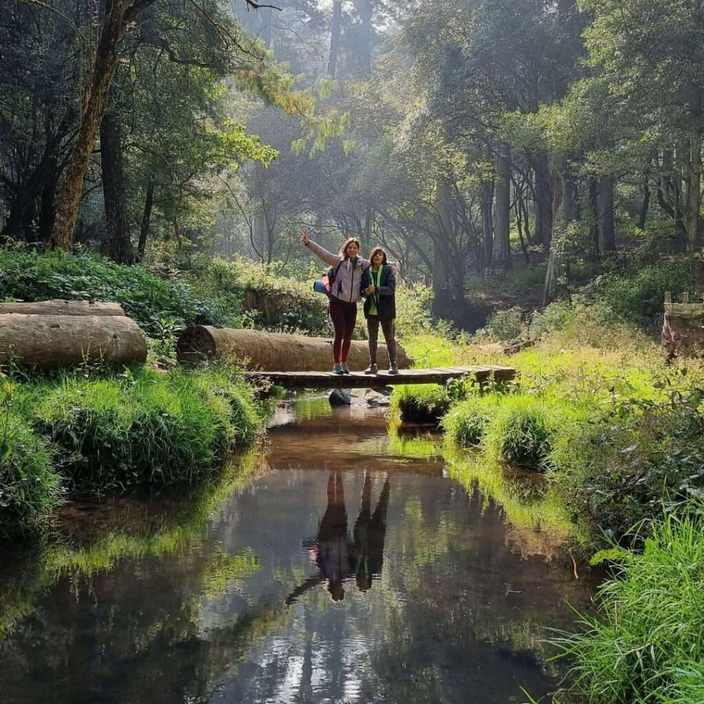 rutadelospatos 4 3593713214692540145