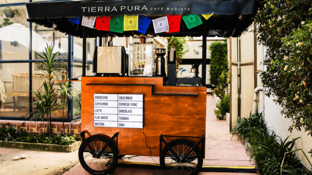 Captura de pantalla 2026-01-08 183248