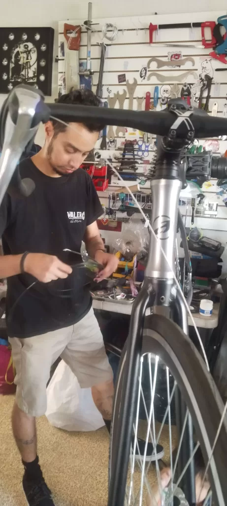 inbound2628061474405617307