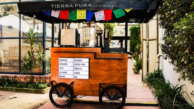 inbound5616806213437388648