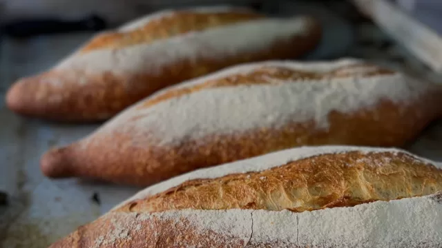 626149867_17854986420613552_2425197167008794024_n