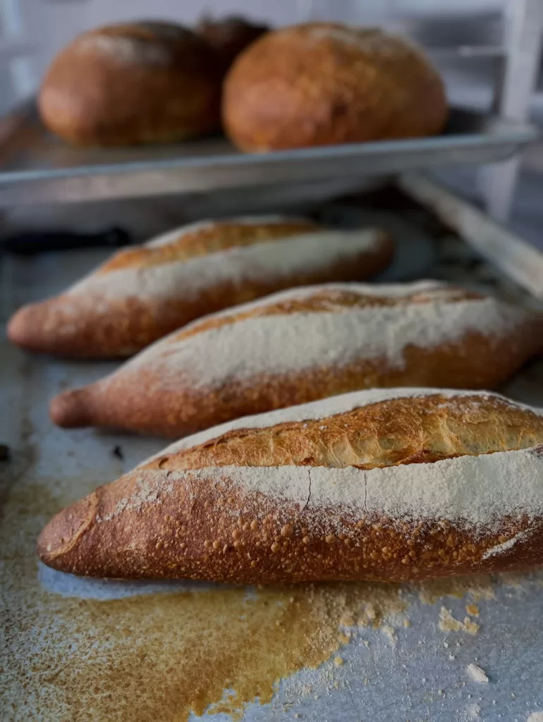 626149867_17854986420613552_2425197167008794024_n