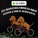 20% Descuento