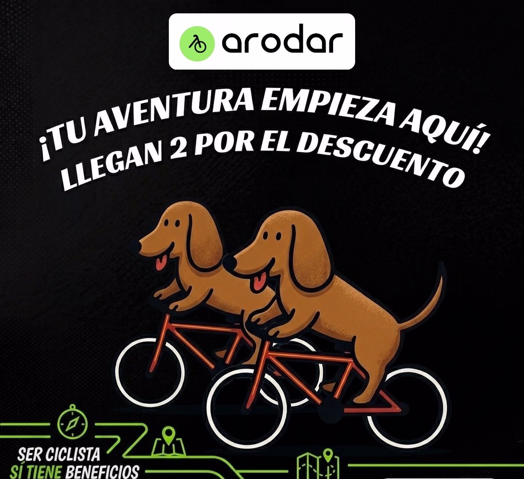 20% Descuento