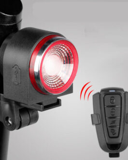 Luz trasera con alarma