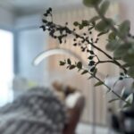 IMG 4657 1