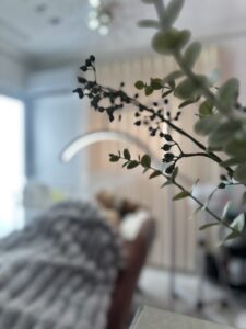 IMG 4657 1